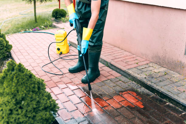 Best House Pressure Washing  in Bellevue, MI