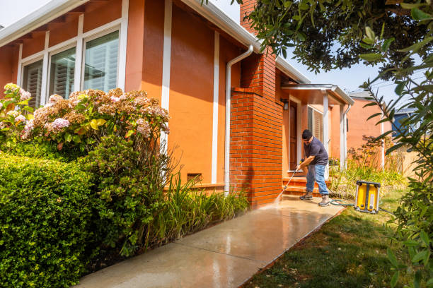 Best Best Pressure Washing Companies  in Bellevue, MI