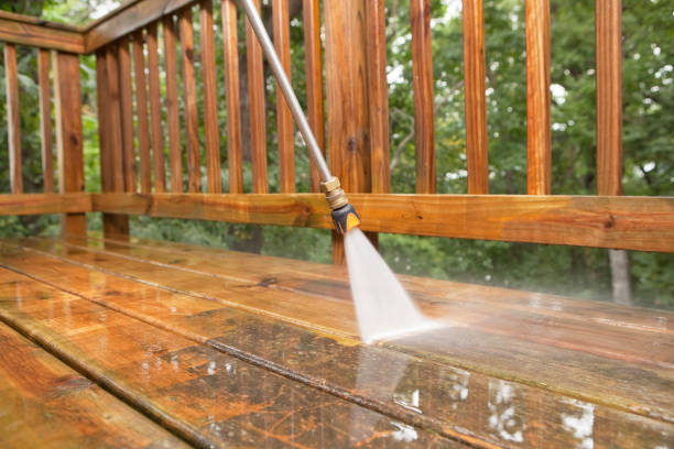 Best Affordable Pressure Washing  in Bellevue, MI